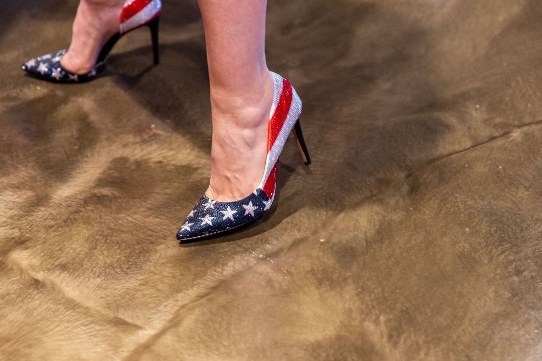 051122-owh-new-govrace-ar07.JPG